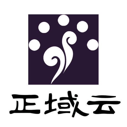新疆正域云科技 深耕信息系統(tǒng)集成，賦能數(shù)字化未來(lái)